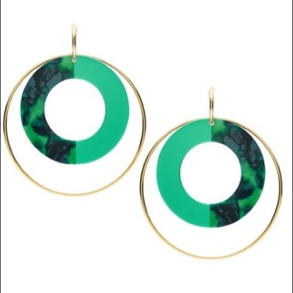 Fossil Earrings